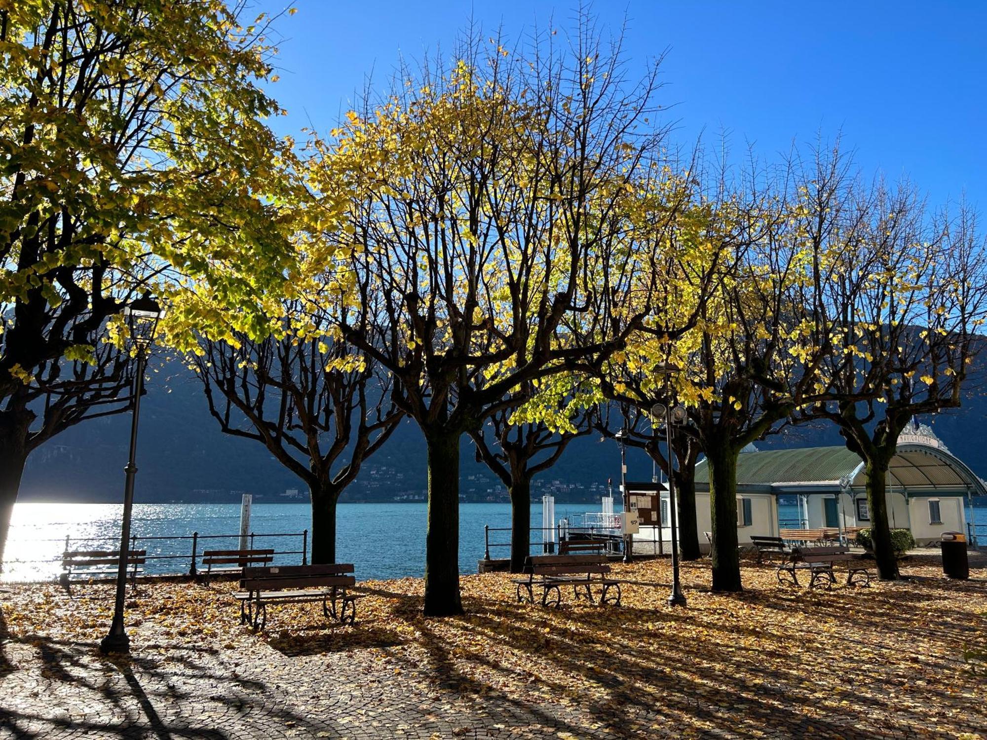 Il Mallo Verde - Lake Como B&B Манделло-дель-Ларіо Екстер'єр фото